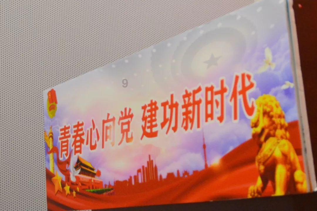 破碎的动物图形2